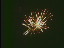 Thumbnail 36