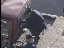 Thumbnail 27
