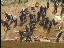 Thumbnail 20