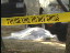 Thumbnail 16