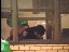 Thumbnail 25