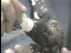 Thumbnail 18
