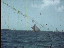 Thumbnail 35