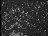 Thumbnail 33