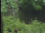 Thumbnail 53