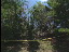 Thumbnail 25