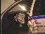 Thumbnail 28