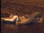 Thumbnail 29