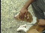 Thumbnail 25
