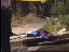 Thumbnail 30