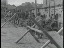 Thumbnail 29