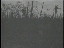 Thumbnail 55