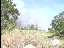 Thumbnail 57