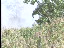 Thumbnail 58