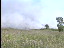 Thumbnail 59