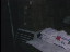 Thumbnail 41