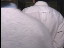 Thumbnail 23