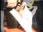 Thumbnail 22