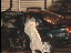 Thumbnail 29