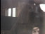 Thumbnail 47