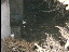 Thumbnail 24