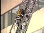 Thumbnail 23