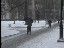 Thumbnail 16