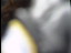 Thumbnail 24