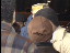 Thumbnail 22
