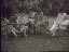 Thumbnail 17