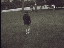 Thumbnail 22