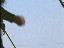 Thumbnail 23