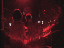 Thumbnail 16