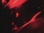 Thumbnail 17