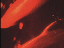 Thumbnail 21