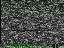 Thumbnail 23