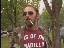 Thumbnail 19