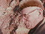 Thumbnail 26