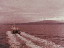 Thumbnail 29