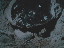 Thumbnail 32