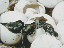 Thumbnail 36