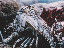 Thumbnail 48