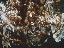 Thumbnail 62
