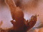 Thumbnail 65