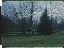 Thumbnail 17