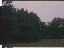 Thumbnail 31