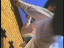 Thumbnail 54