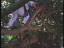Thumbnail 64