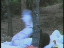 Thumbnail 80