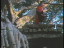 Thumbnail 86